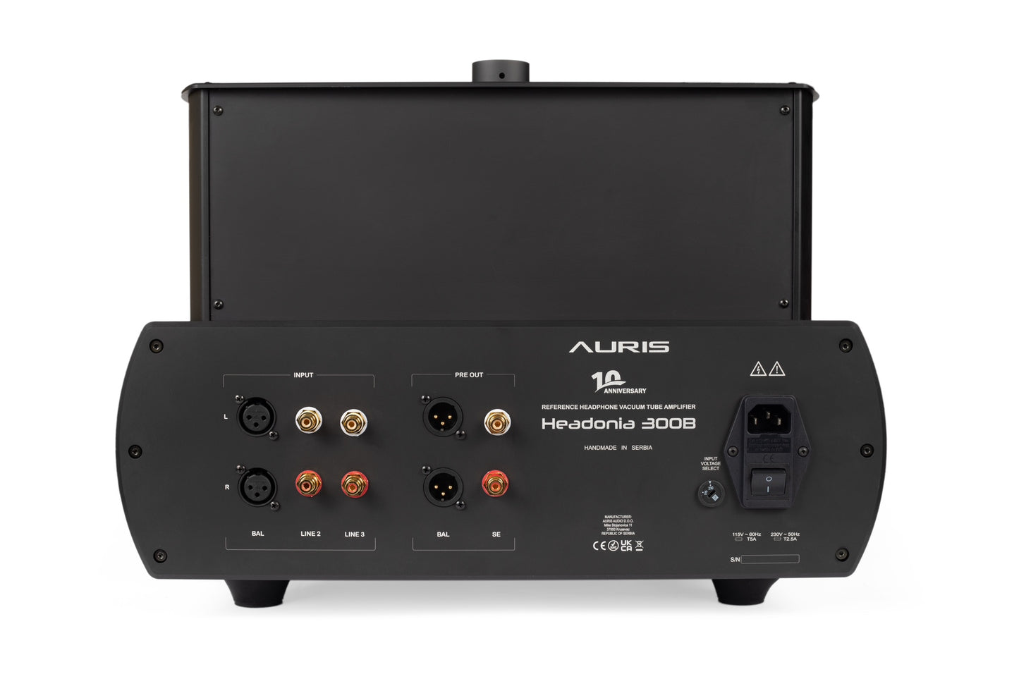 Auris Audio Headonia 300B